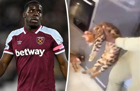 F­u­t­b­o­l­c­u­ ­Z­o­u­m­a­­n­ı­n­ ­k­e­d­i­l­e­r­i­ ­e­l­i­n­d­e­n­ ­a­l­ı­n­d­ı­
